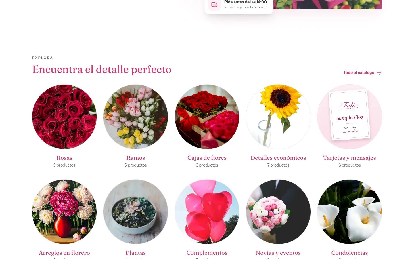 Captura de Arreglos y Flores
